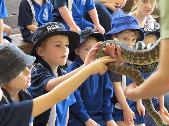 students touching snake held by handler